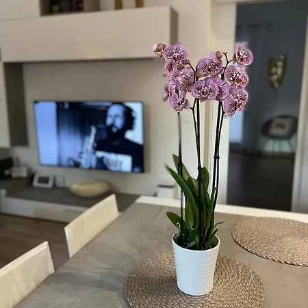 Redentore 870 * Venetië
