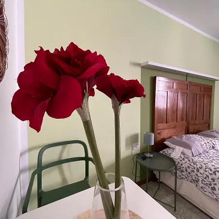 Guest house Blooming Gate Venice
