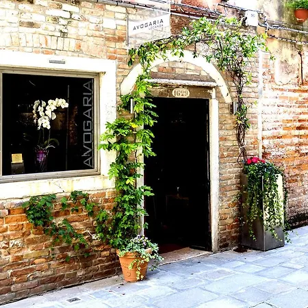 Avogaria 5 Venice