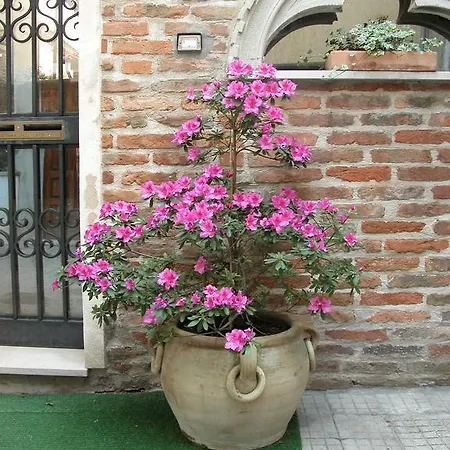 Apartment Al Campanile Madonna Dell'orto *