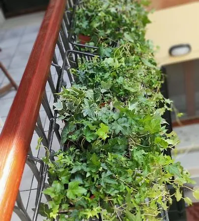 Ca' Baby Apartment