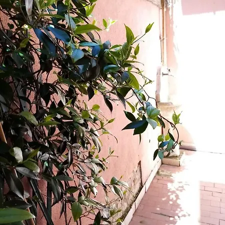 Appartamento Biennale Flat