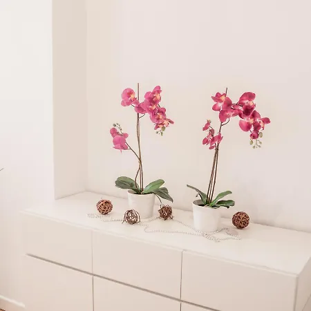 San Polo Design By Wonderful Italy * Venice