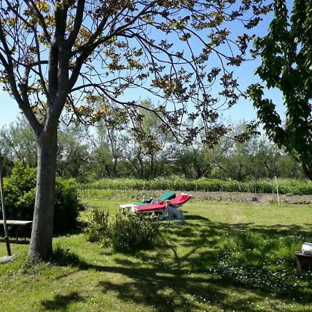 Laguna Di Isola Di S.erasmo Privatunterkunft Venedig