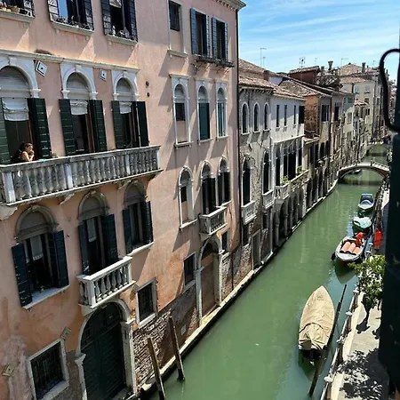 Rosa Venice