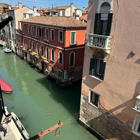 Rosa Venice