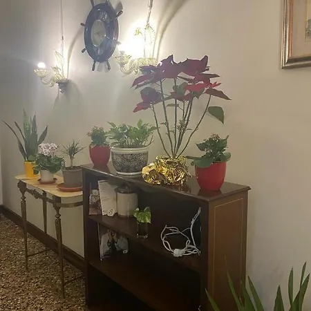 Rosa Guest house *