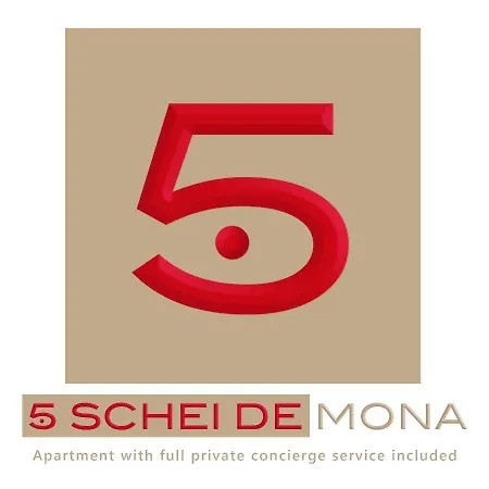 5 Schei De Mona With Gym In Cannaregio Apartment