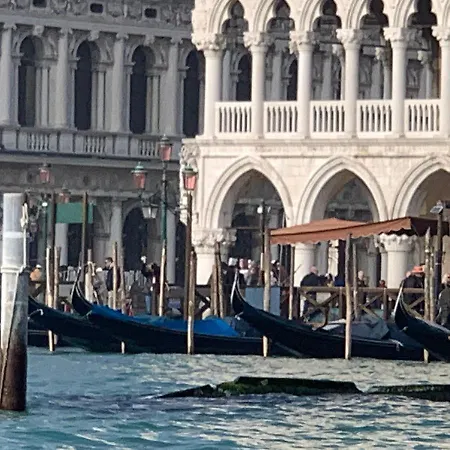 The Wolf House Venise