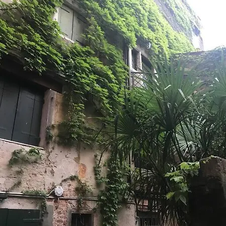 Centralissimo Tra San Marco E Palazzo Grassi Apartment *