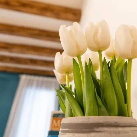 Boutique Apartment Venice