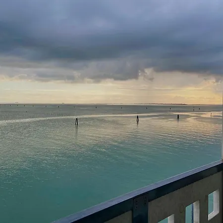Miami In * Venice