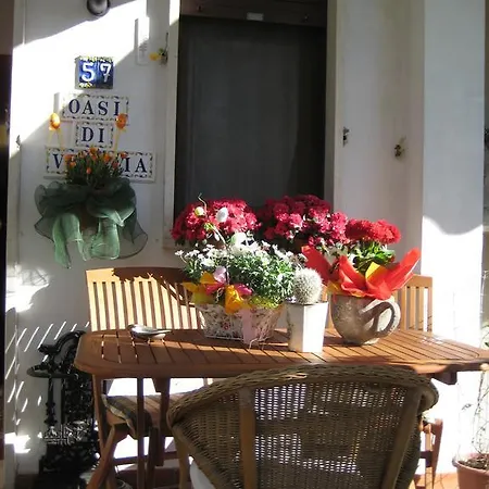 Oasi Di Bed & Breakfast