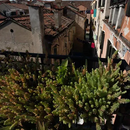 Casa Loredana * Venise