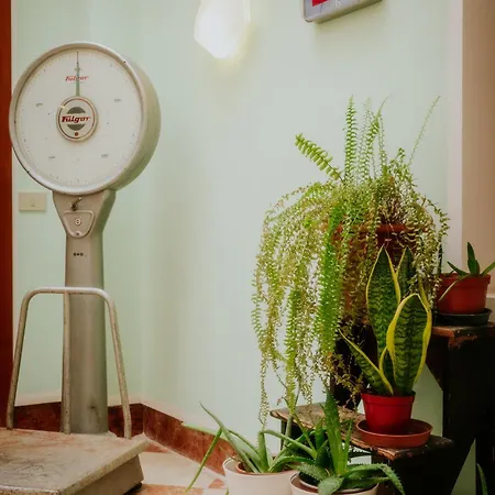 Casa Accademia Holiday home