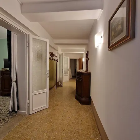 Veneziacentopercento & Venice