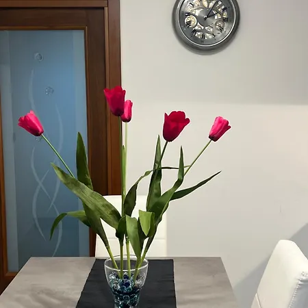 Ca' Delfina Apartment *