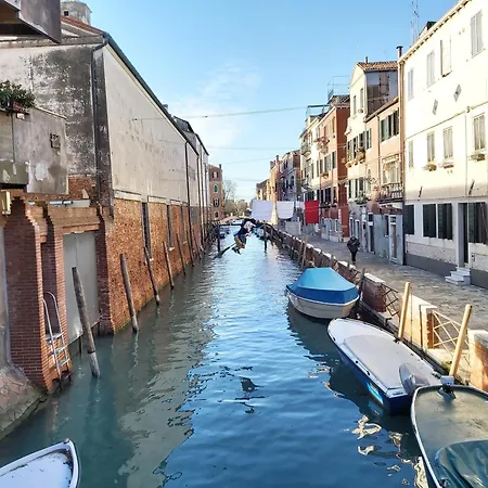 Veneziacentopercento Zoto * Venise