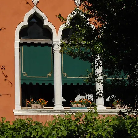 Accademia - Maravege