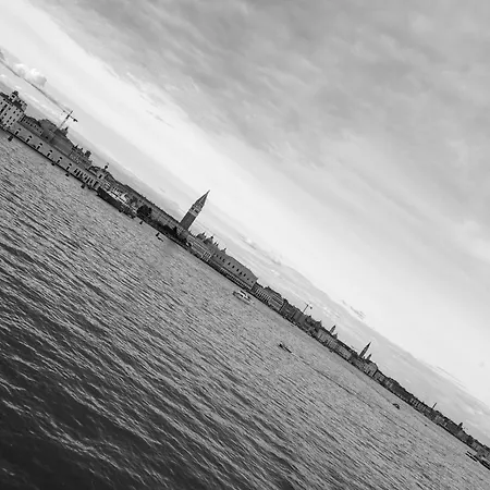 Iconic - View In