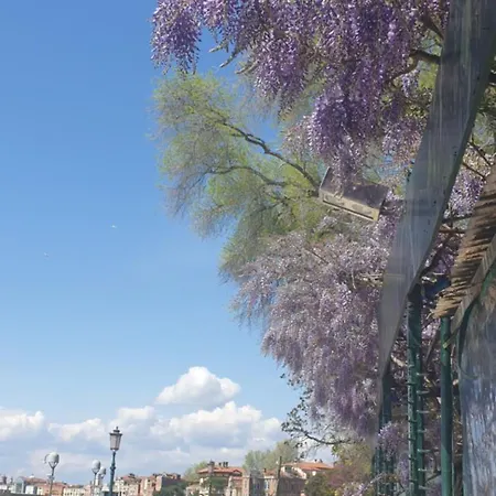 Biennale Flat In Giardini * Venice