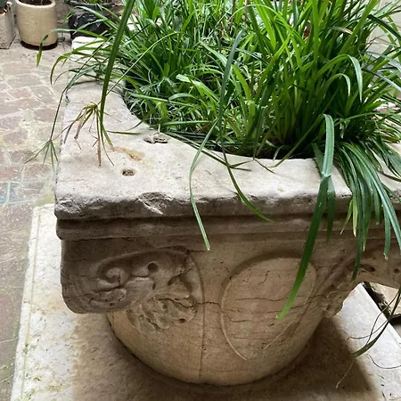 Bellissimo In Palazzo Storico * Venice