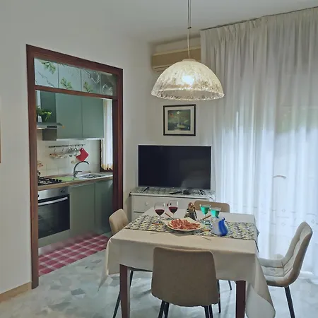 Viale Vsm 108 Mestre