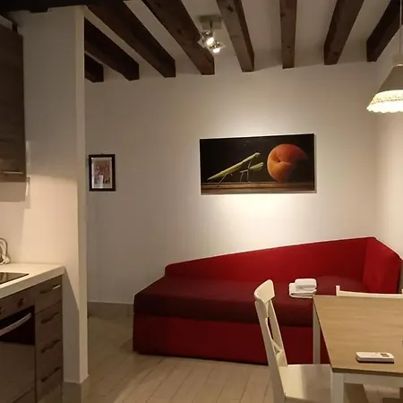 Apartment Ca Del Gambero Canal View *