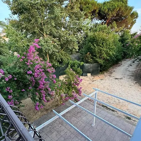 Apartment Lavender Near Venice Airport *