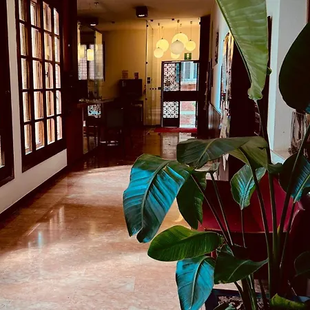 Domus Ciliota 3* Venedig