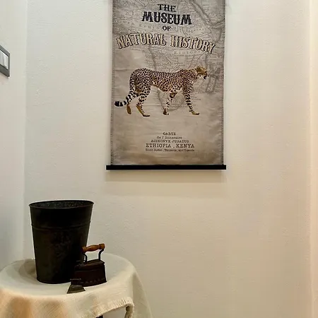 Casa Clara Appartamento Marghera