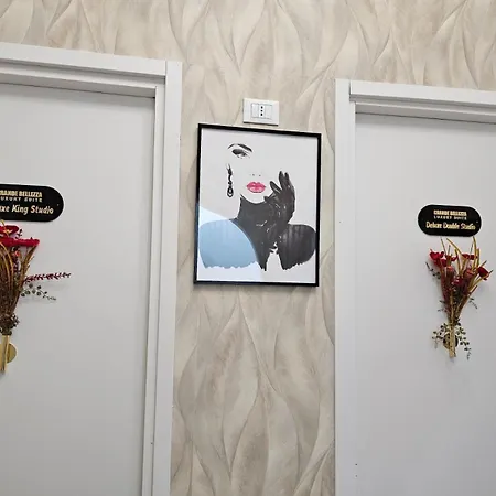 公寓式酒店 Grande Bellezza Luxury 梅斯特雷