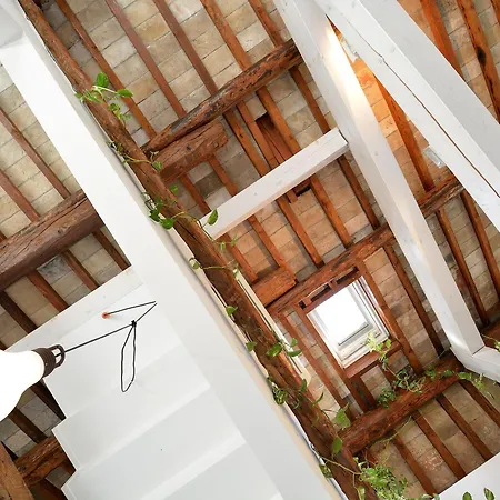 Appartamento Dandolo-terrace Venezia