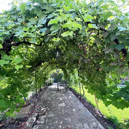 Carmen Garden Bed & Breakfast *