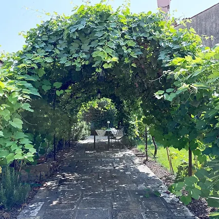 Bed & Breakfast Carmen Garden