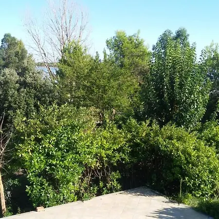 A Sant Erasmo * Venice