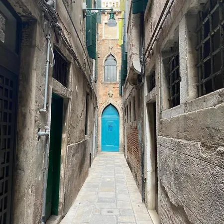 Ali Venice