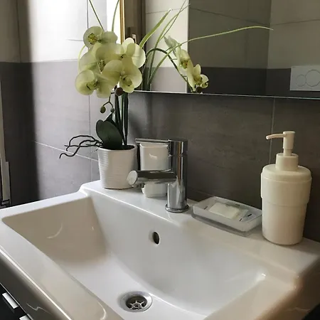 Zara Free Parking Apartment *