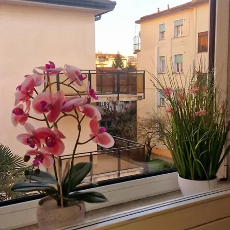 Hotel Tito 3*