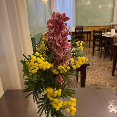 酒店 古尔拉托旅馆 *