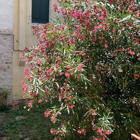 Ania * Venice
