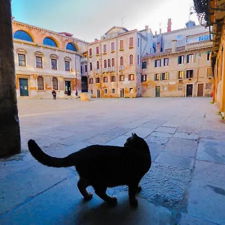 Ca'rialto Venezia