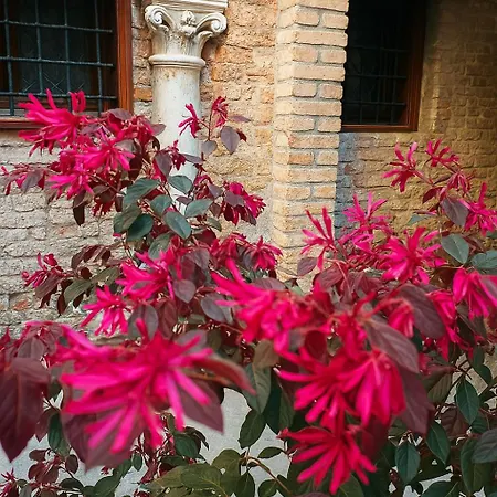My Rialto Palace Maison d'hôtes *
