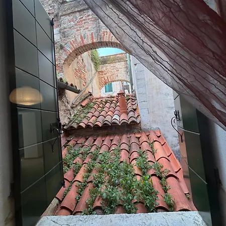 Ali * Venice