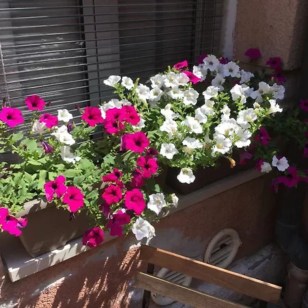 Apartment Cannaregio Ii Venice