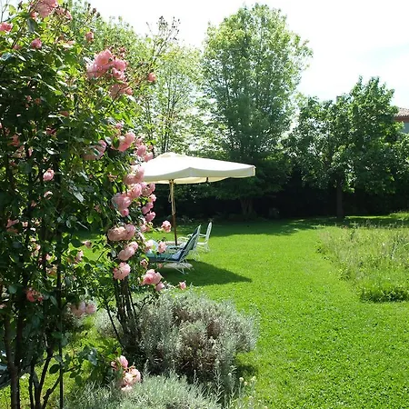 Hotel Bauer Palladio & Spa