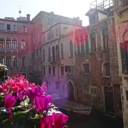 Youth Palace * Venezia