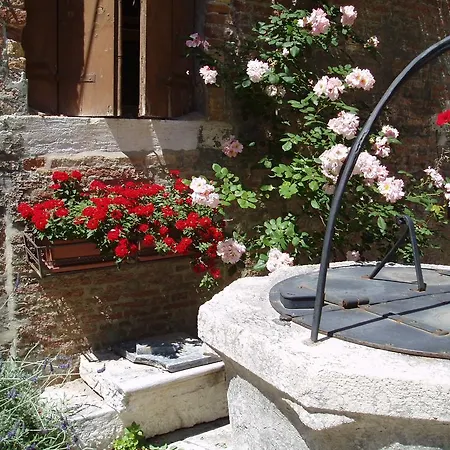 Hotel Domus Ciliota