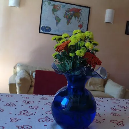Nichy House *