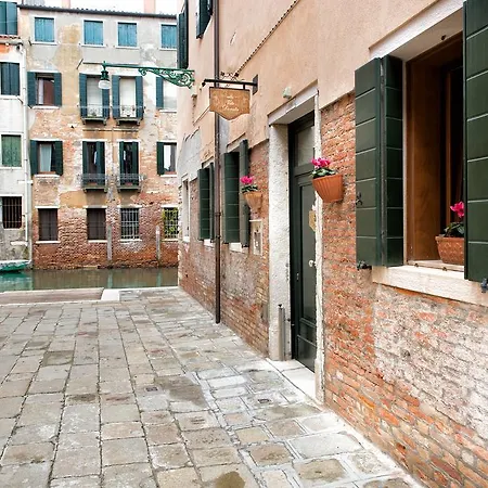 Vite Dorata Venice